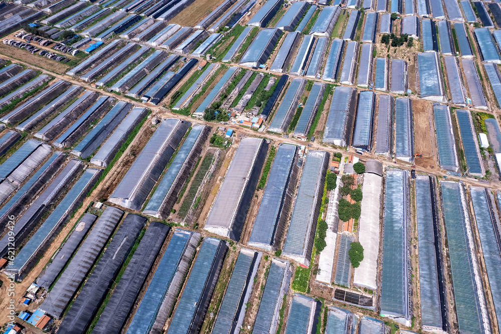 Aerial photo of the skyline of Shouguang vegetable greenhouse area