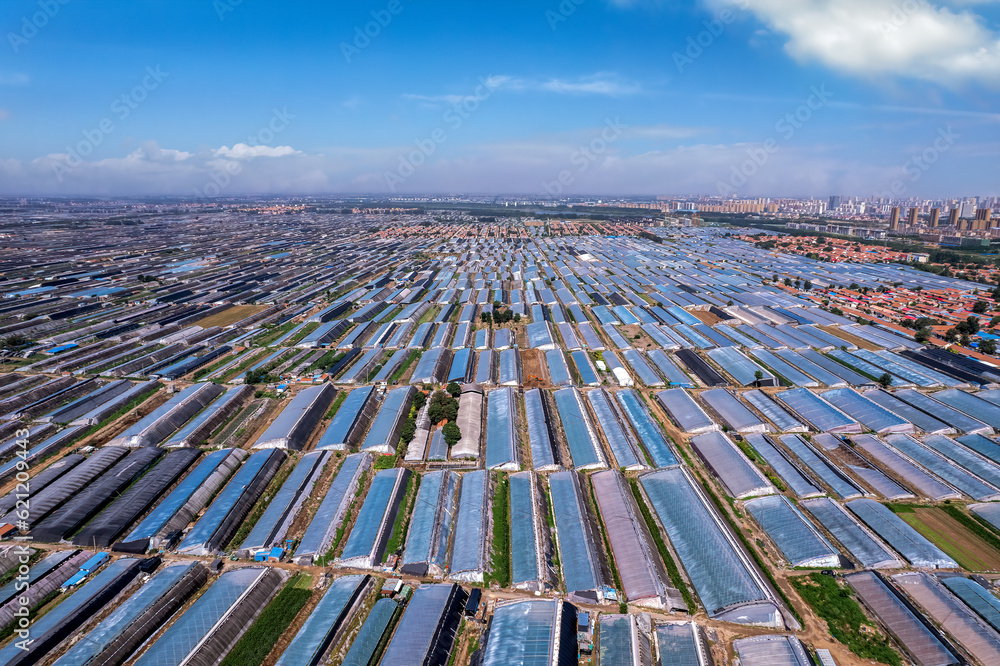 Aerial panoramic view of the skyline in Shouguang vegetable greenhouse area