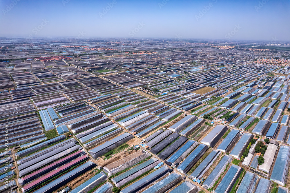 Aerial photo of the skyline of Shouguang vegetable greenhouse area