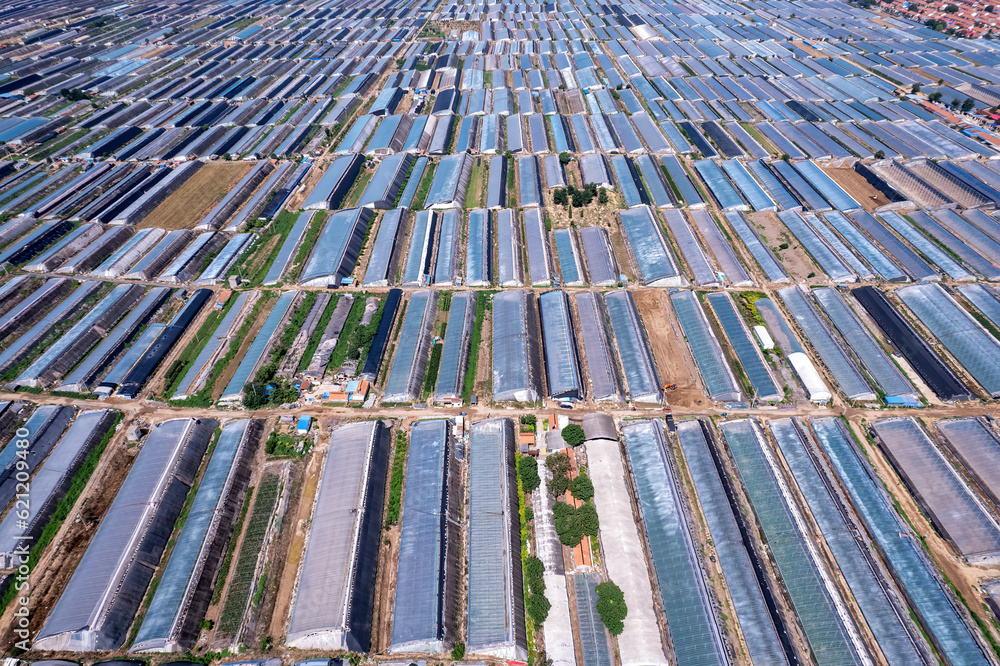 Aerial photo of the skyline of Shouguang vegetable greenhouse area