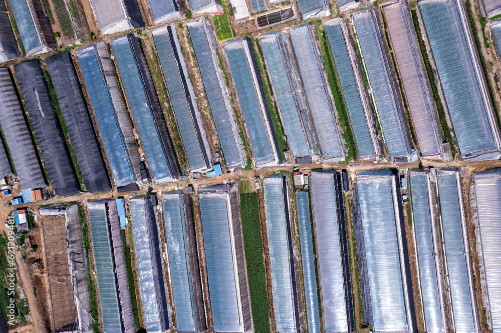 Aerial photo of the skyline of Shouguang vegetable greenhouse area