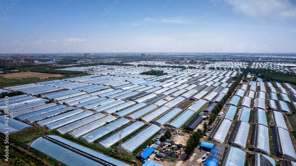 Aerial photo of the skyline of Shouguang vegetable greenhouse area