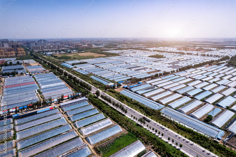 Aerial photo of the skyline of Shouguang vegetable greenhouse area