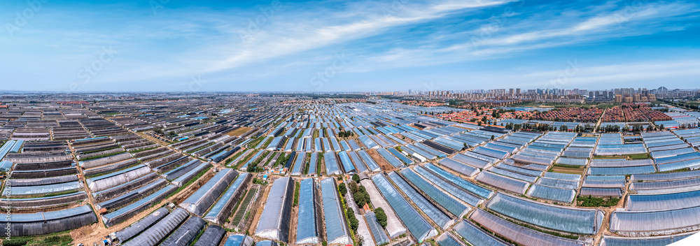 Aerial panoramic view of the skyline in Shouguang vegetable greenhouse area