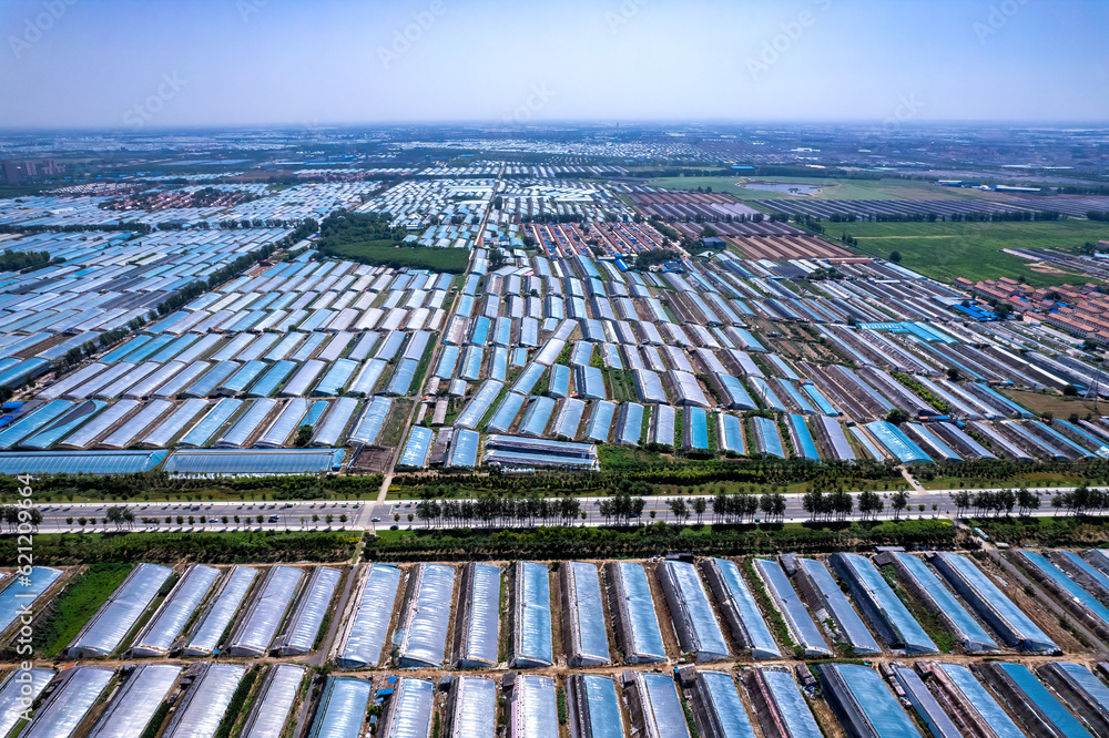 Aerial photo of the skyline of Shouguang vegetable greenhouse area