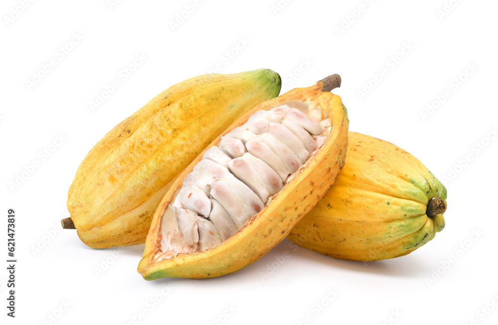 Fresh yellow cocoa pods with cut in half isolated on white background. Clipping path.