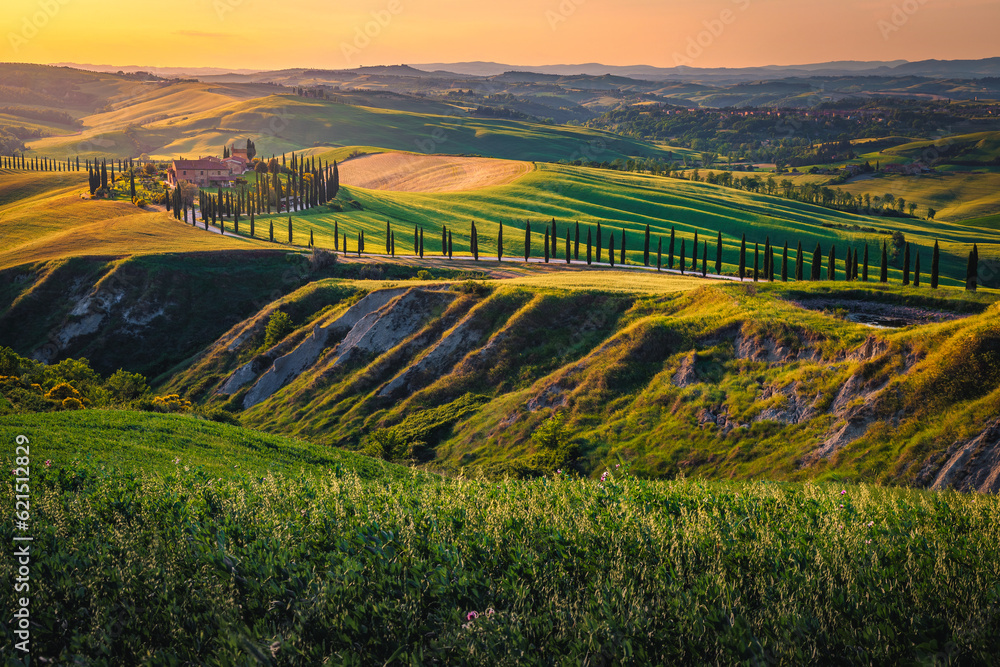 Rural road and agricultural lands at sunset, Tuscany, Italy