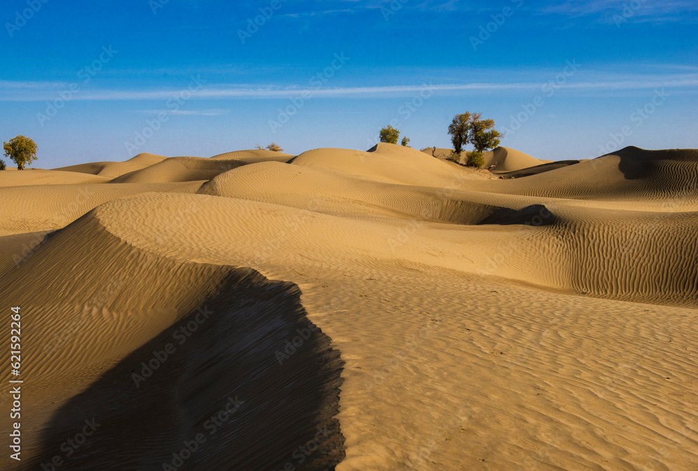 Desert under white clouds and blue sky, desert without people, desert close-up, plants in the desert