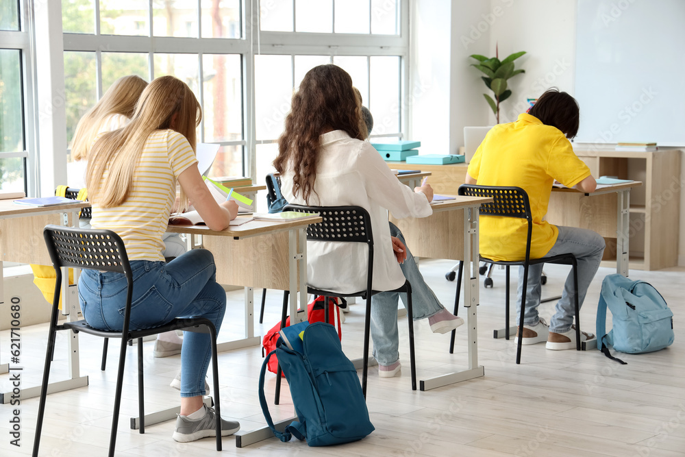 Group of students having lesson in classroom