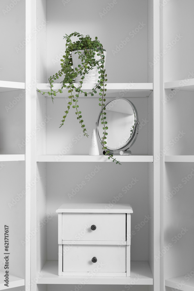 Shelving unit with mirror, houseplant and drawer, closeup