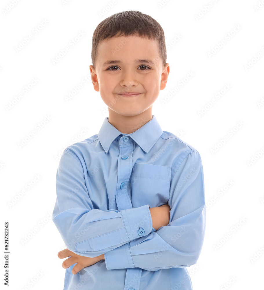 Little schoolboy  on white background