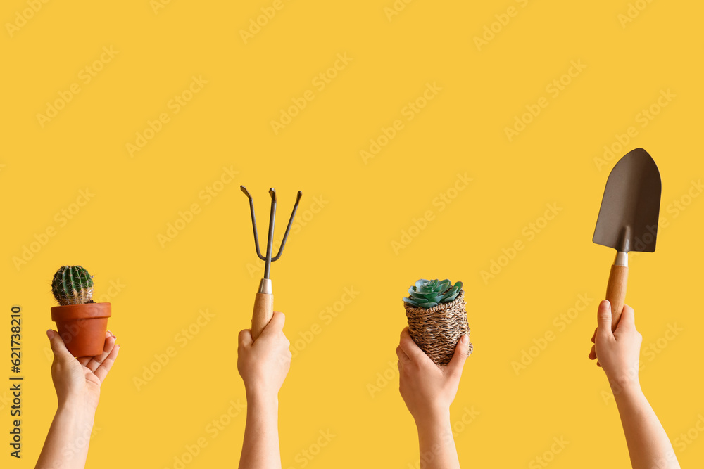 People with shovel, rake and succulents on yellow background