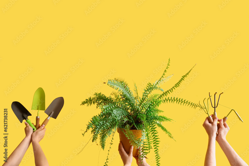 People with gardening tools and plant on yellow background