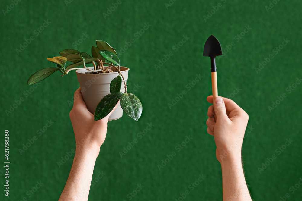 Gardener with plant and shovel on blurred green background