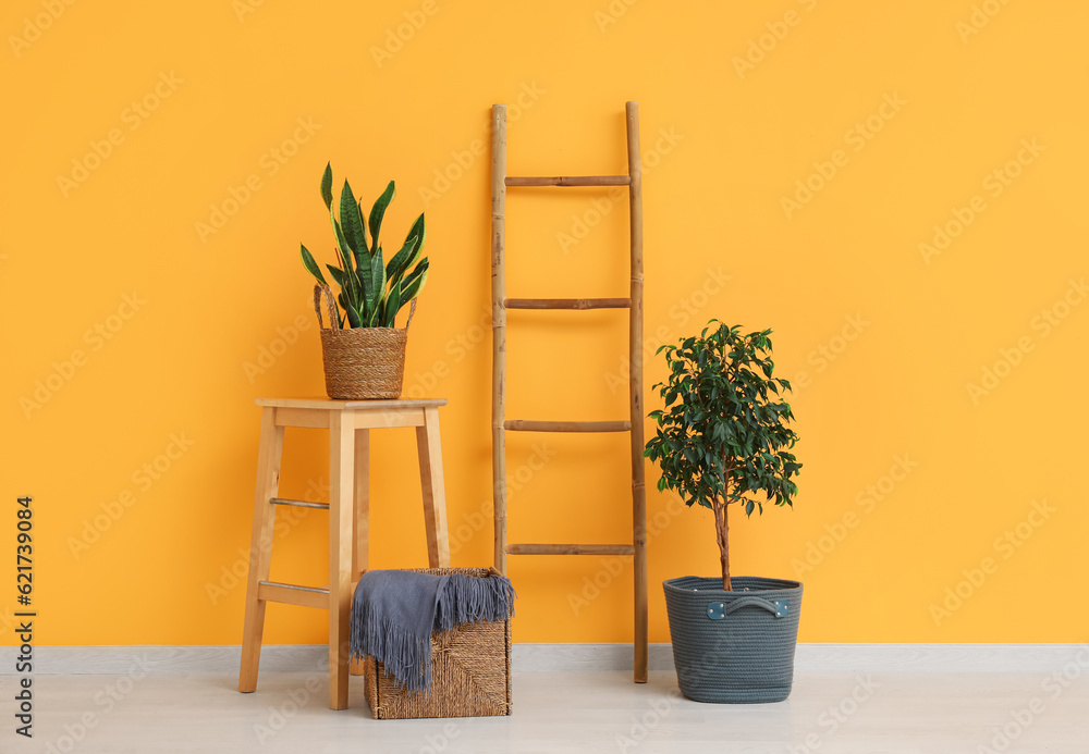 Wooden ladder, table, houseplants and basket near orange wall in room