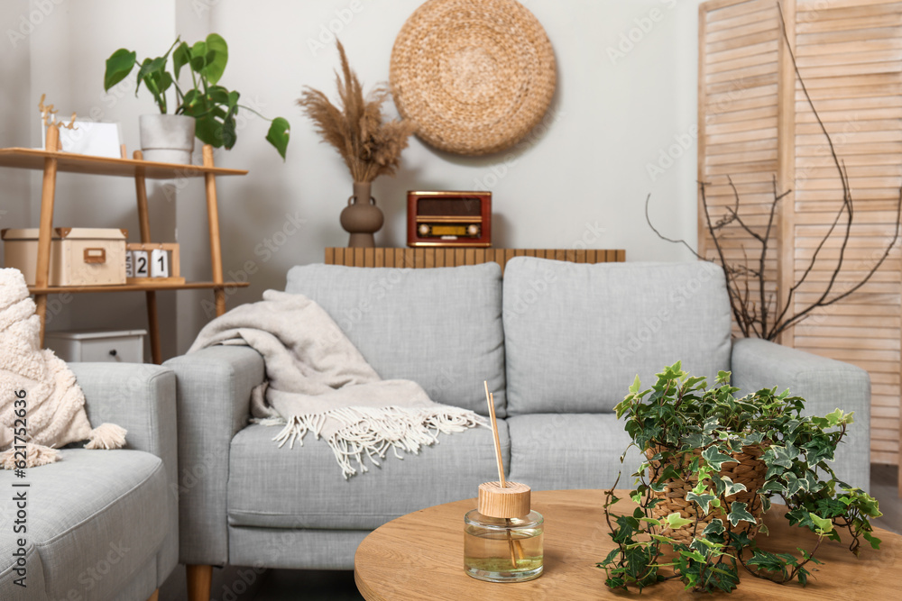 Stylish grey sofas, shelving unit, table and houseplants in interior of light living room