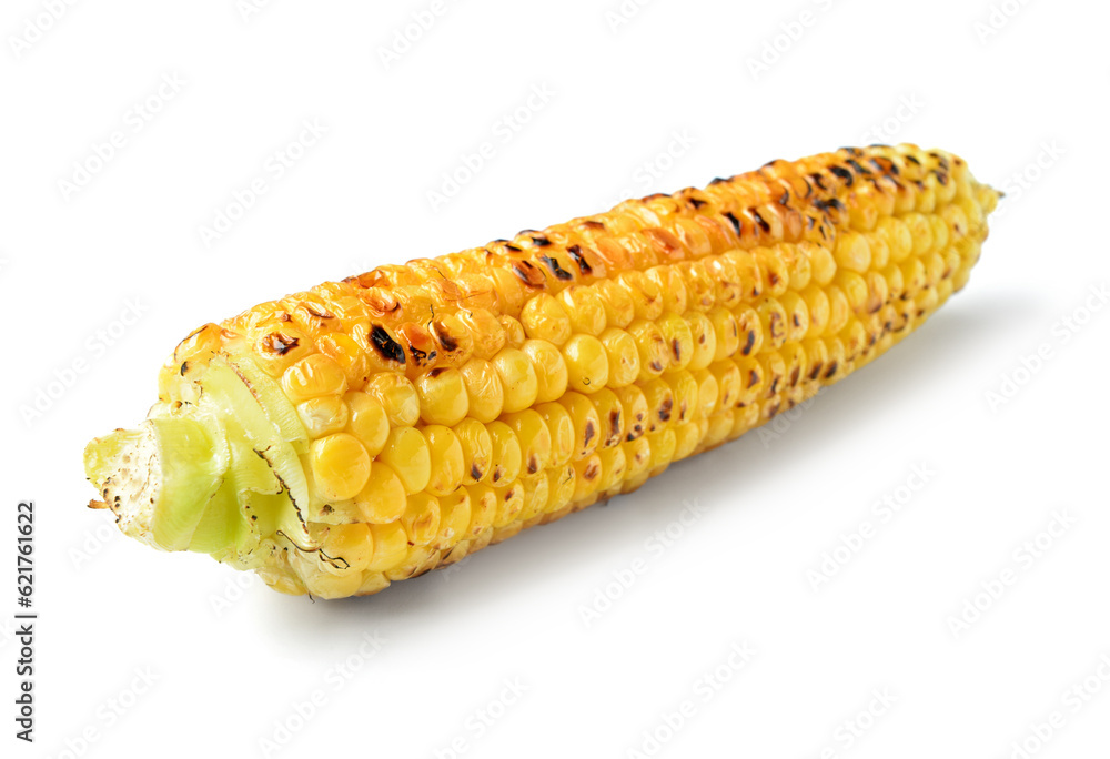 Tasty grilled corn cob on white background