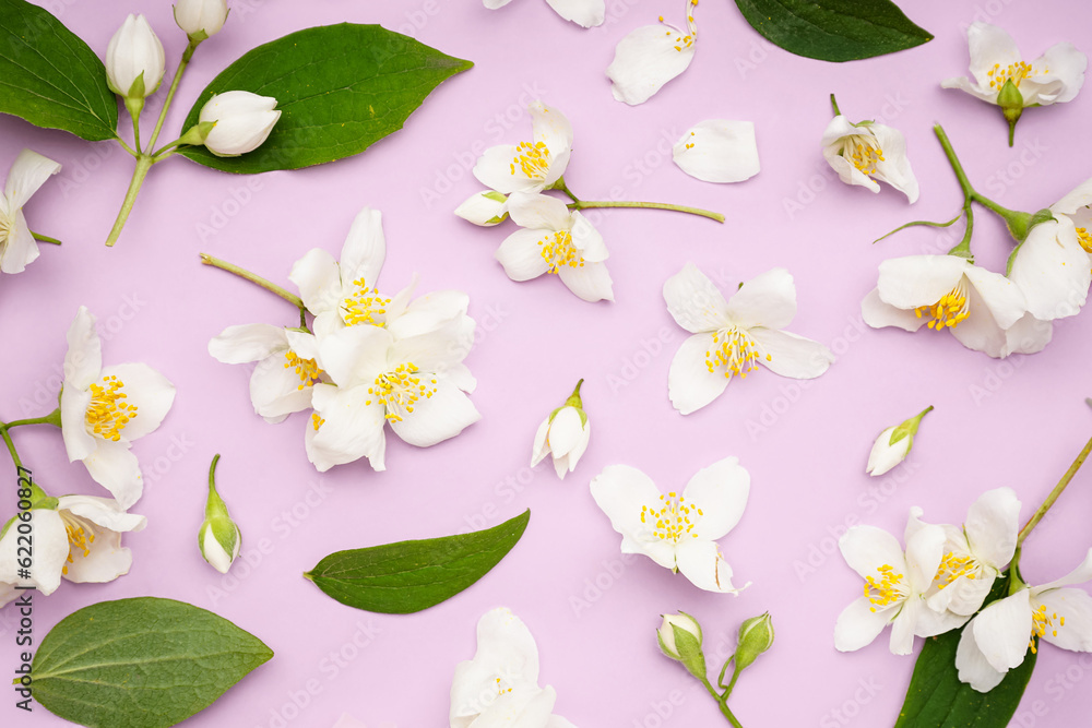 Composition with beautiful jasmine flowers on lilac background