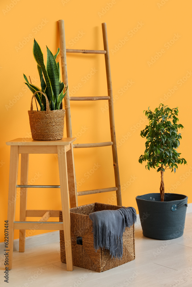 Wooden ladder, table, houseplants and basket near orange wall in room