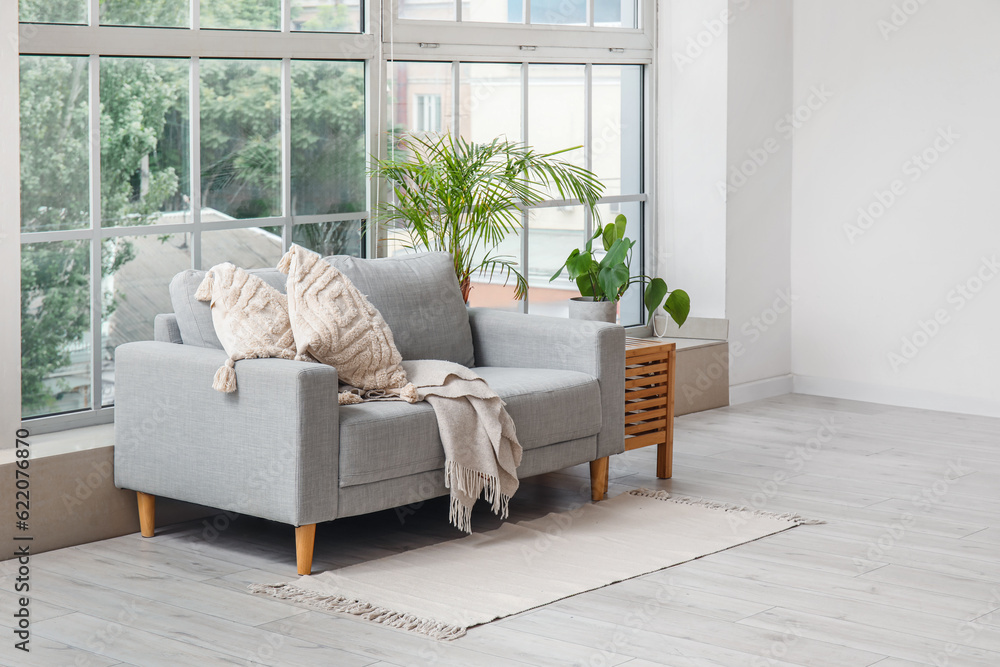 Stylish grey sofa, table and houseplants near window in living room