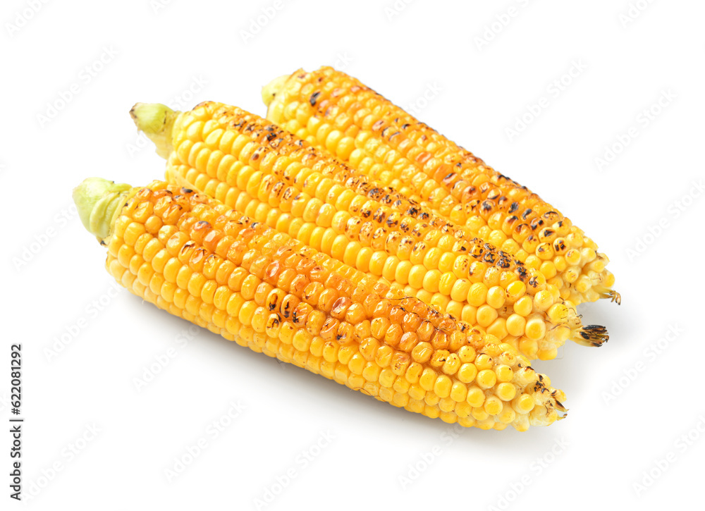 Tasty grilled corn cobs on white background