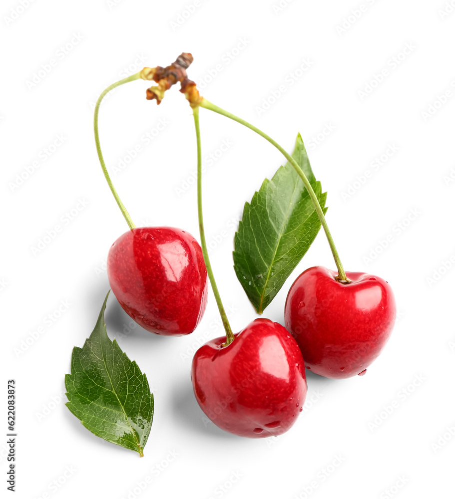 Red sweet cherries on white background