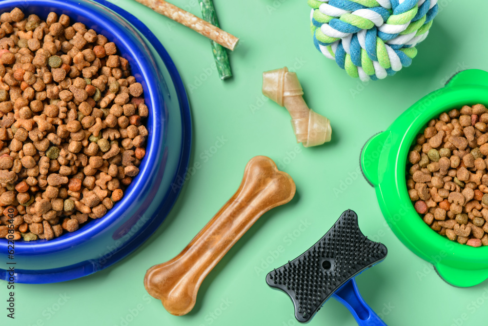 Composition with dry dog food, treats and accessories on color background