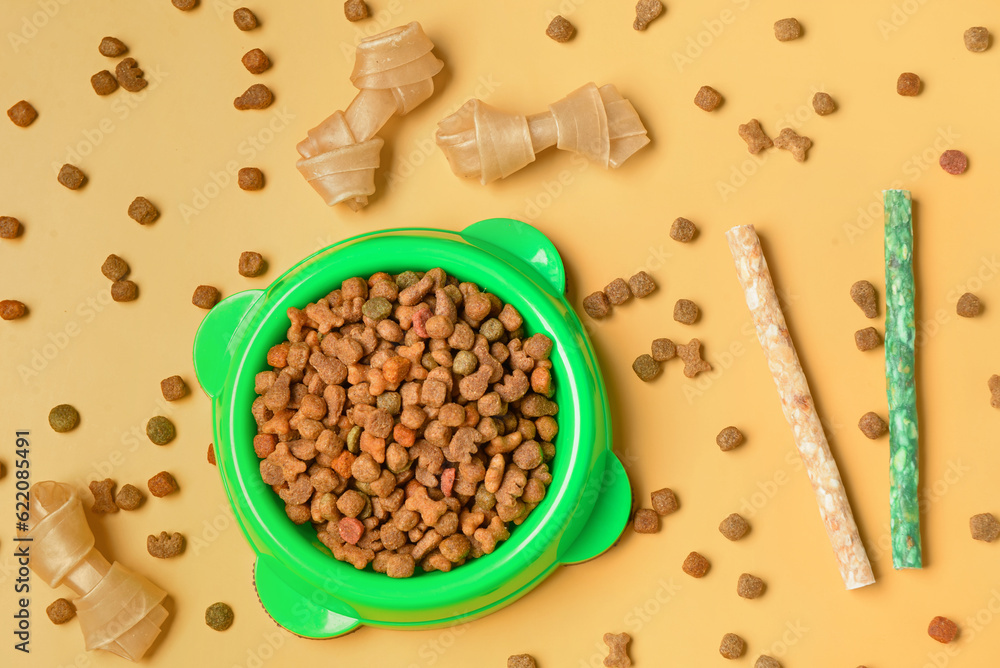 Composition with dry dog food and treats on color background