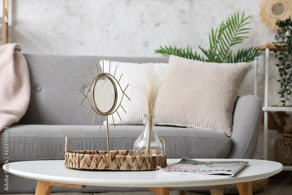 Mirror, magazine and vase with dried plant on coffee table in living room