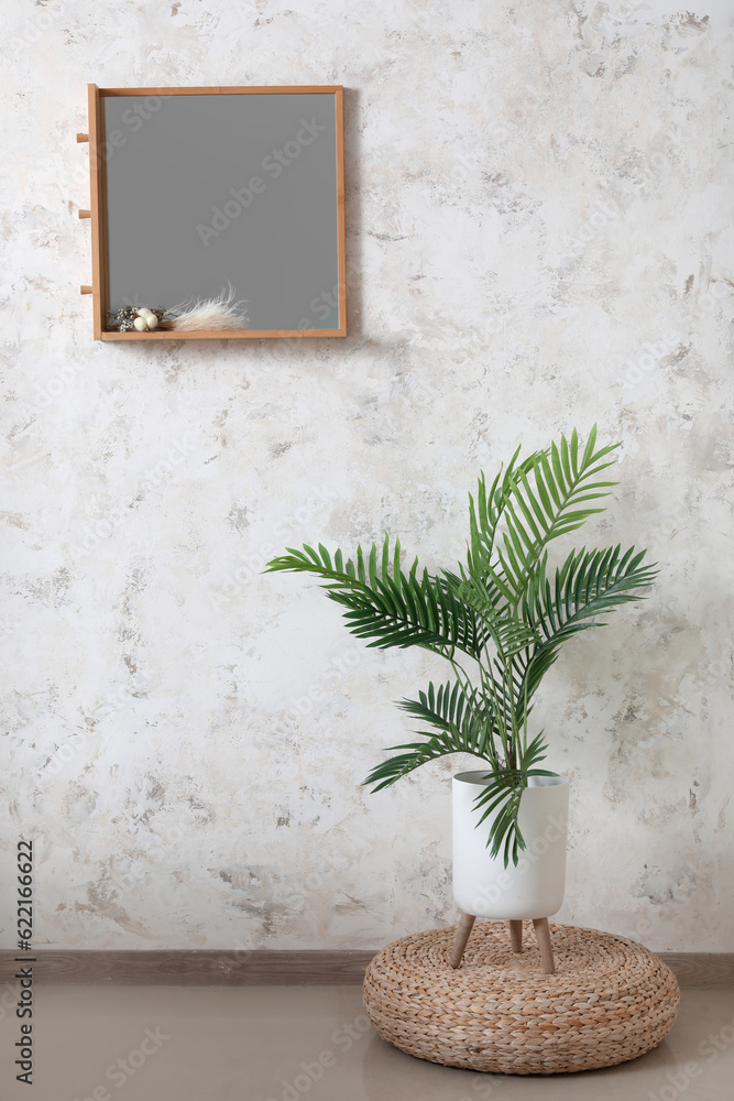 Mirror hanging on white wall in living room with houseplant