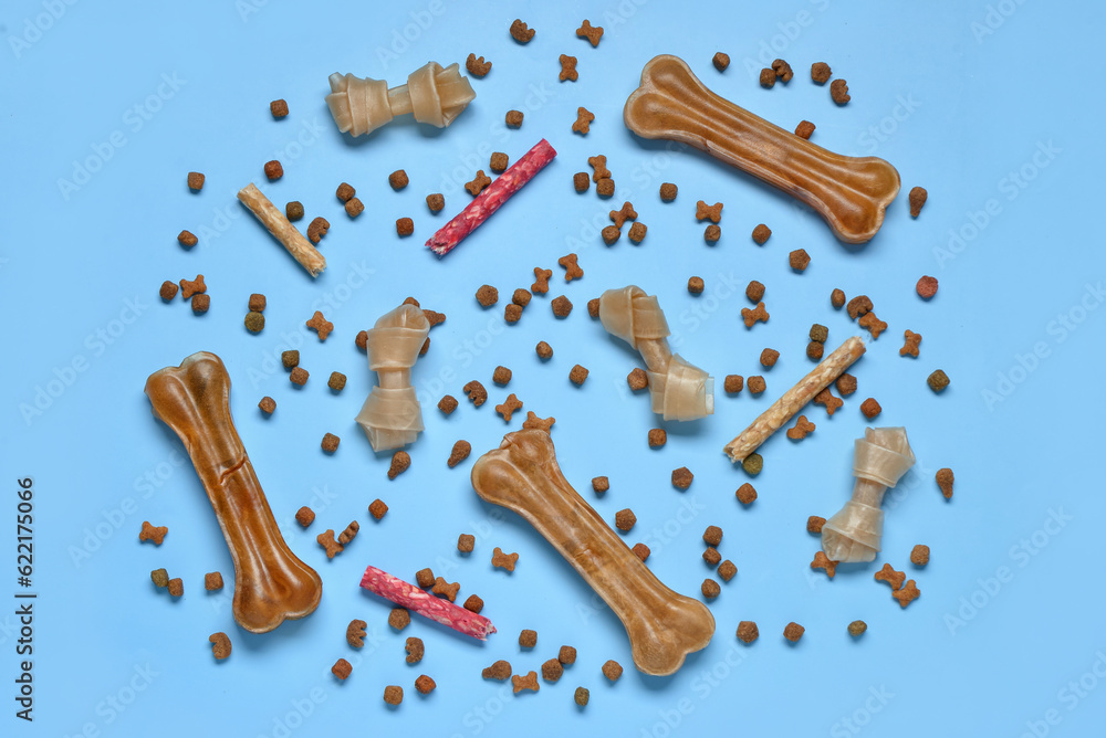 Composition with different dog treats on blue background