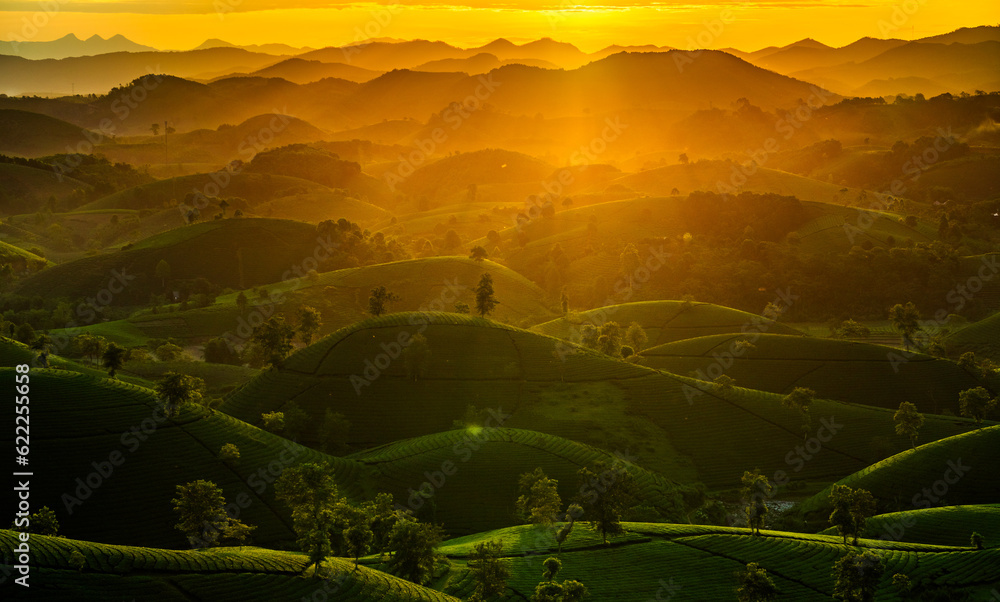 Aerial view of beatiful sunset at Long Coc tea hill, Phu Tho province, Vietnam