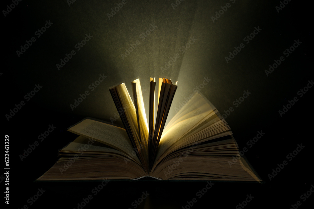 Camera flash in opened book on black background