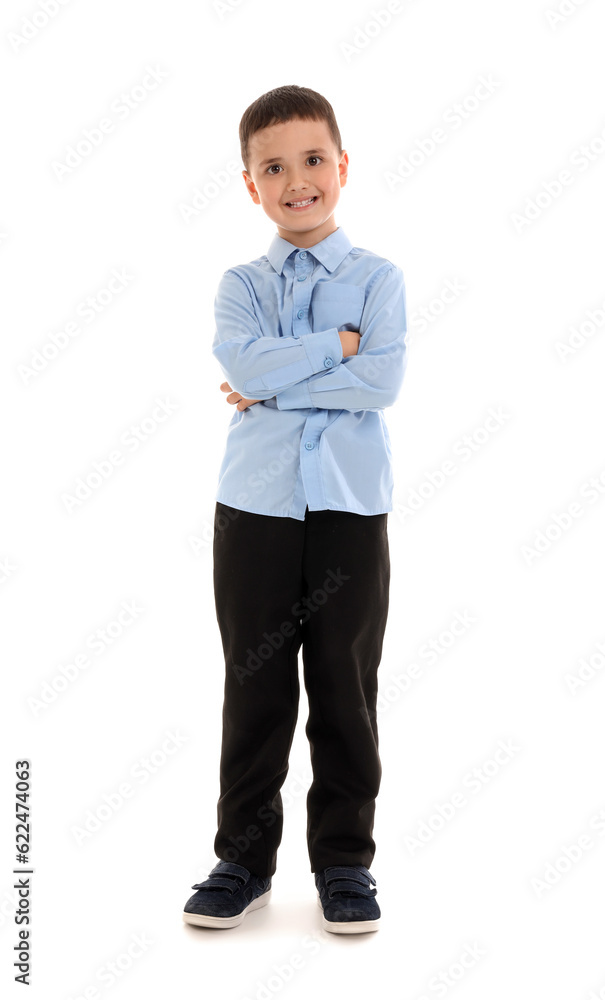 Little schoolboy  on white background