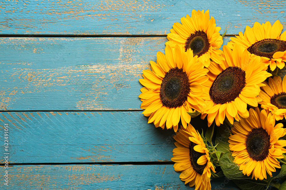 Beautiful sunflowers on blue wooden background