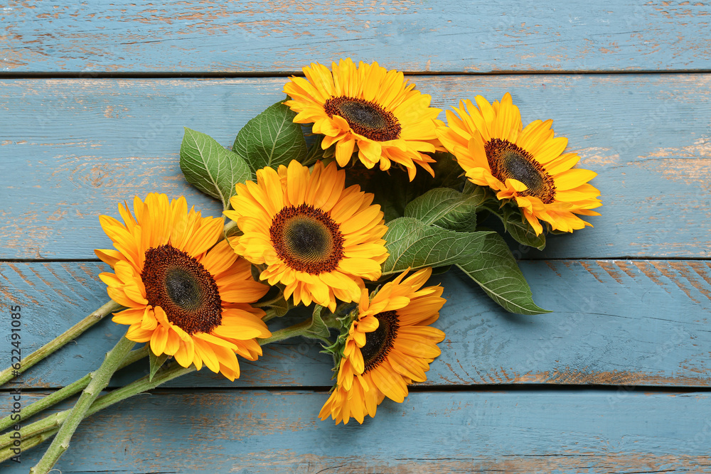 Beautiful sunflowers on blue wooden background