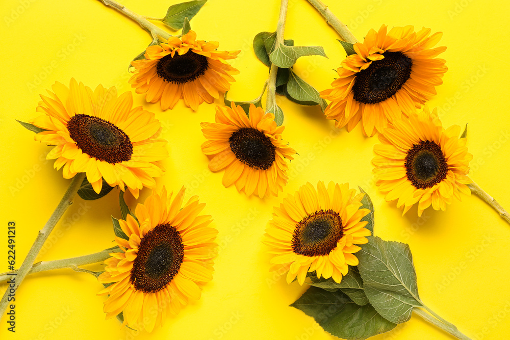 Beautiful sunflowers on yellow background