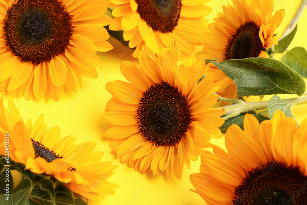 Beautiful sunflowers on yellow background