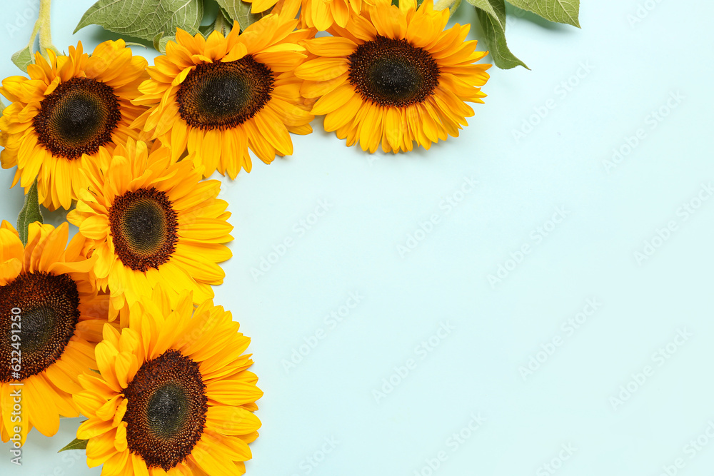 Beautiful sunflowers on blue background