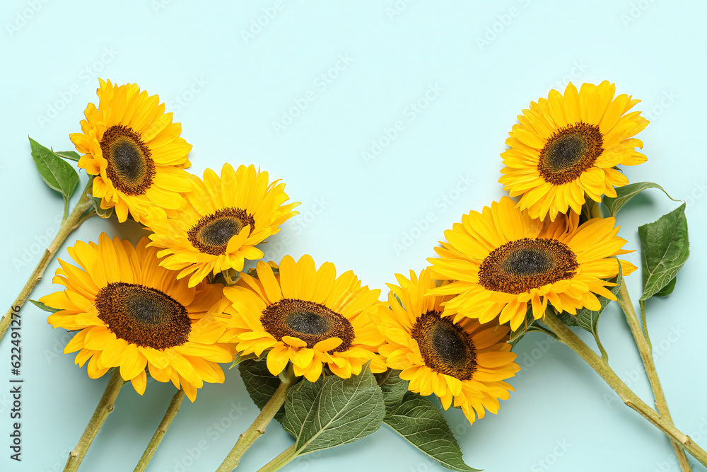 Beautiful sunflowers on blue background