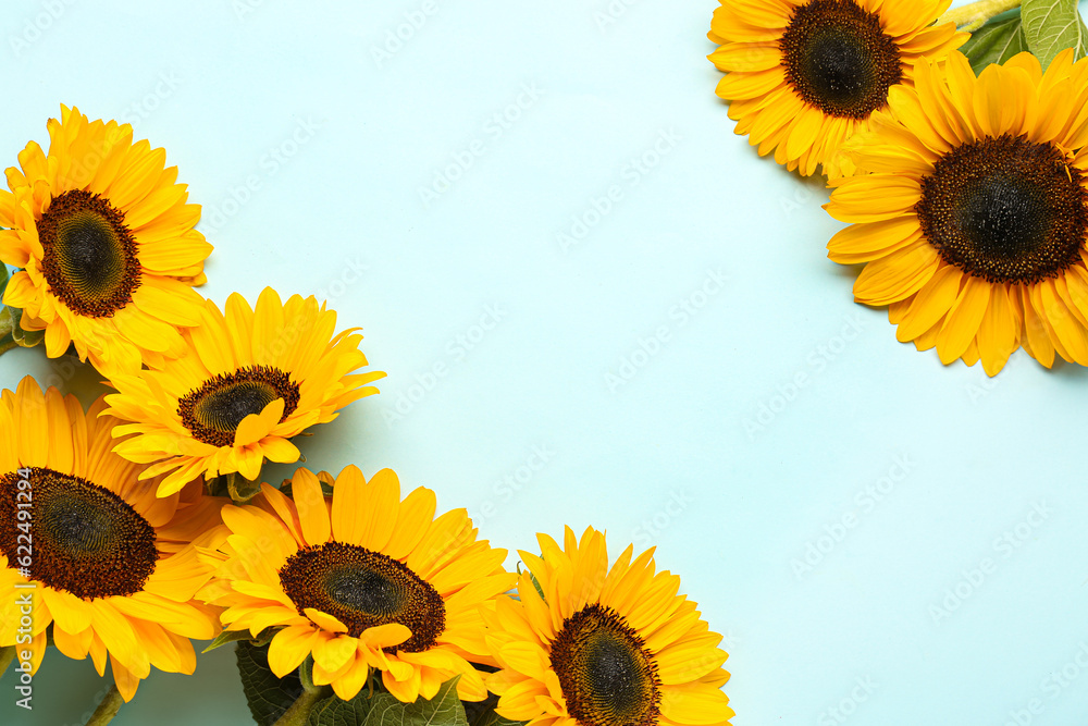 Beautiful sunflowers on blue background