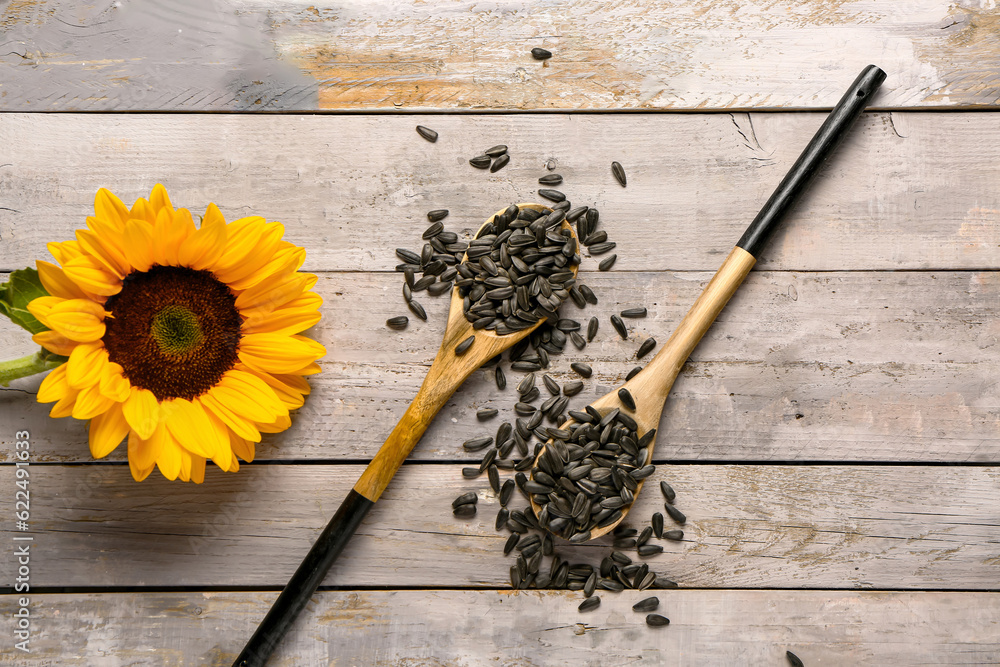 Sunflower and spoons with seeds on grey wooden background