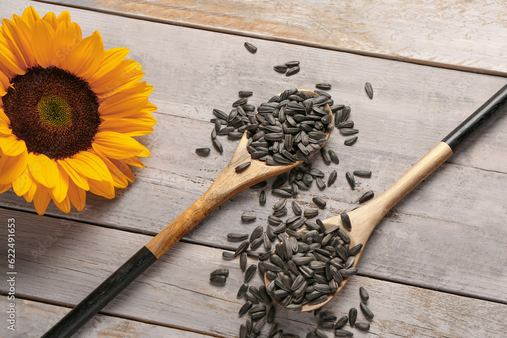 Sunflower and spoons with seeds on grey wooden background