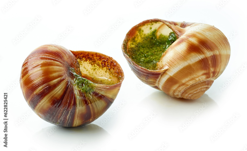 escargot snail stuffed with garlic and parsley butter