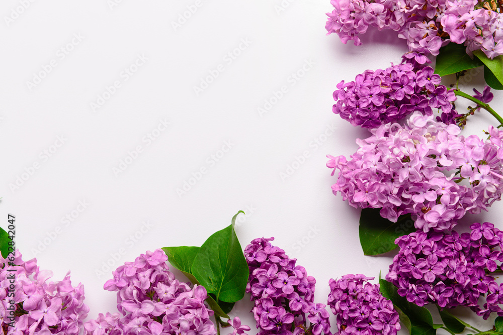 Beautiful bright lilac flowers on white background