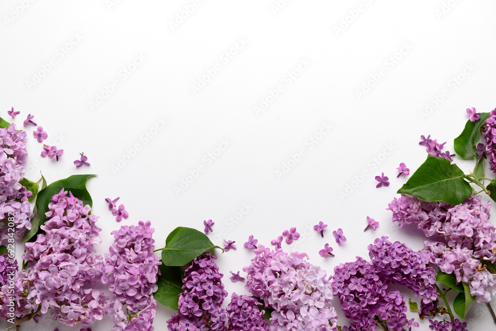 Beautiful bright lilac flowers on white background