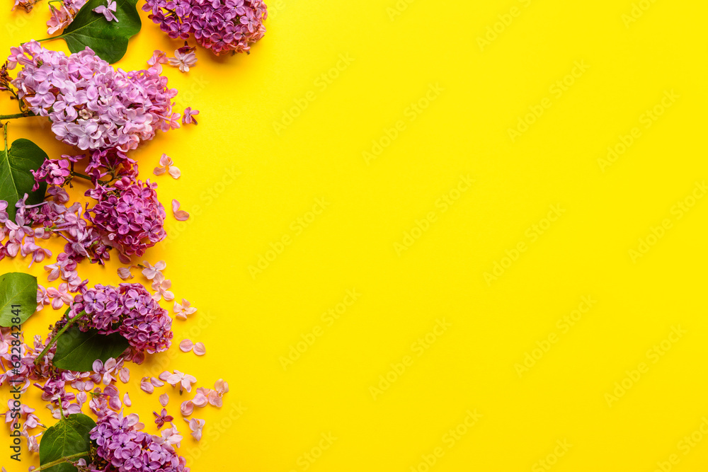 Beautiful lilac flowers on yellow background