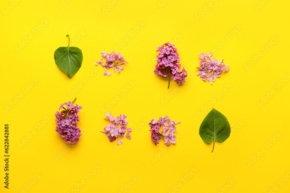 Composition with beautiful lilac flowers on yellow background