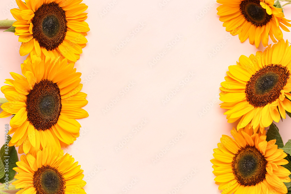 Beautiful sunflowers on pink background