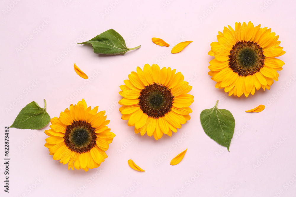 Beautiful sunflowers with leaves and petals on lilac background